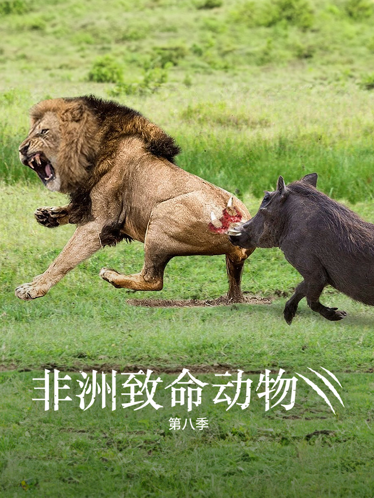 非洲致命动物 8}