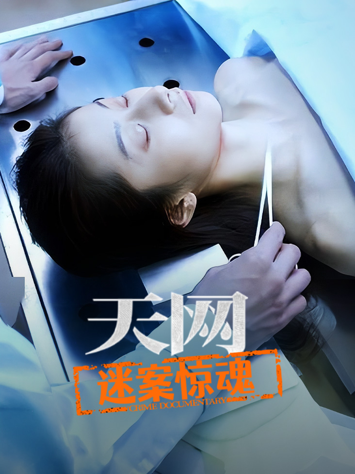 天网迷案惊魂}