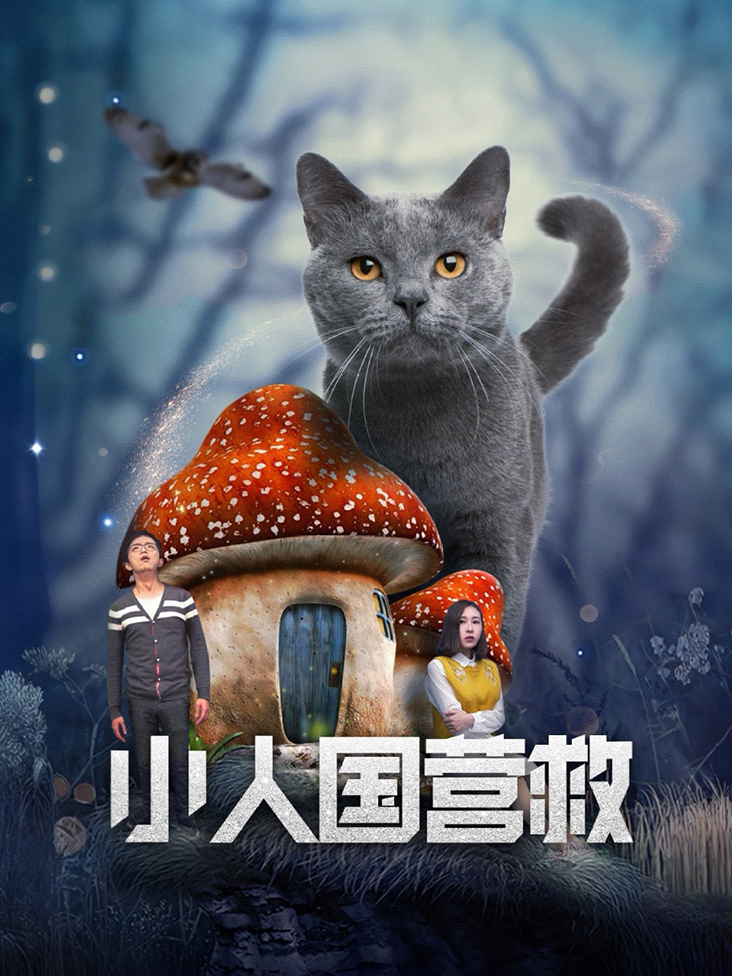 小人国营救