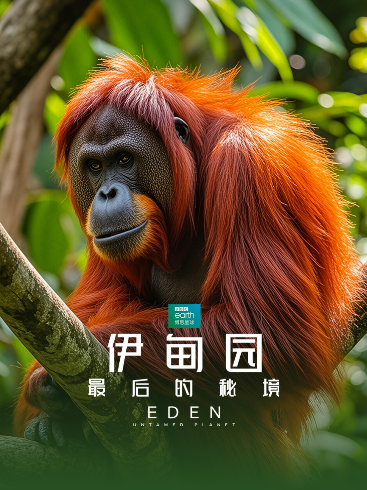 《伊甸园最后的秘境》完整版免费在线观看