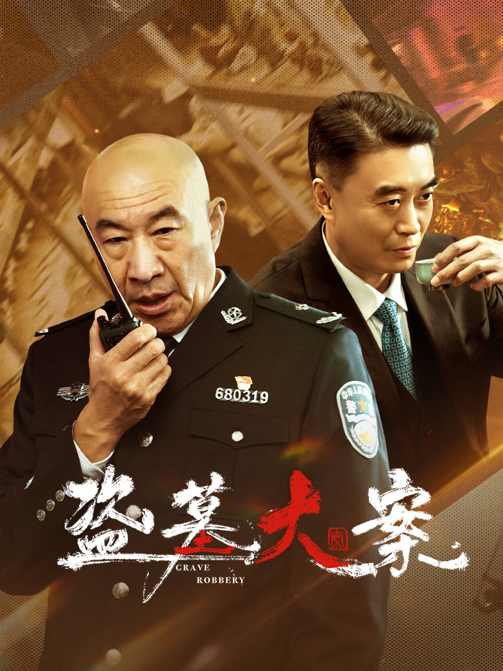 盗墓大案封面图