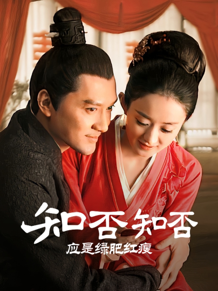 知否知否应是绿肥红瘦 TV版
