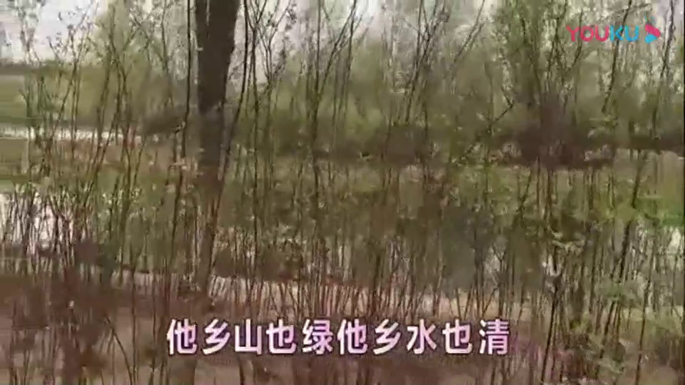 2013快男杨洋