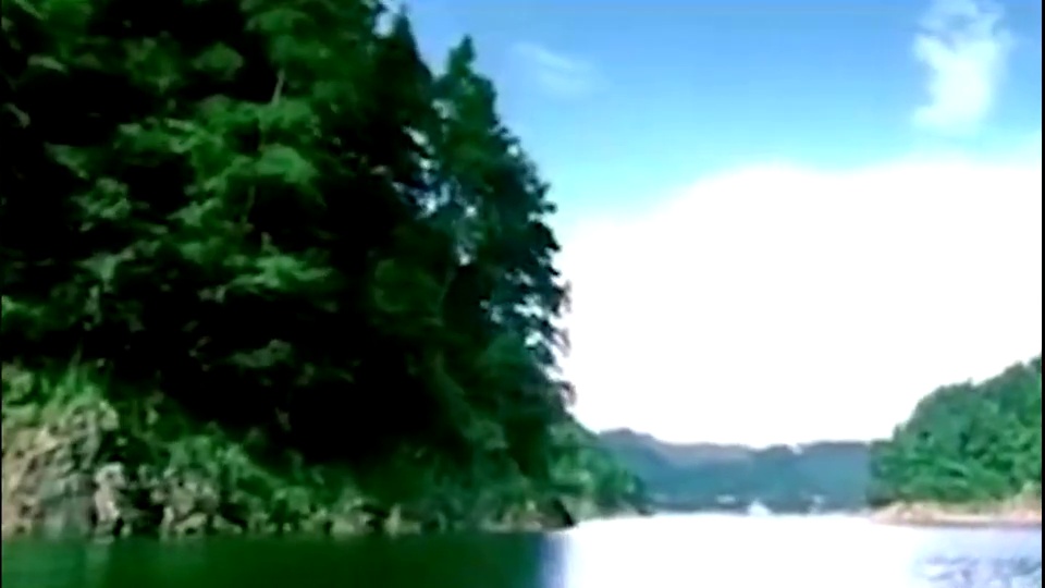 兰德里纳河的房子
