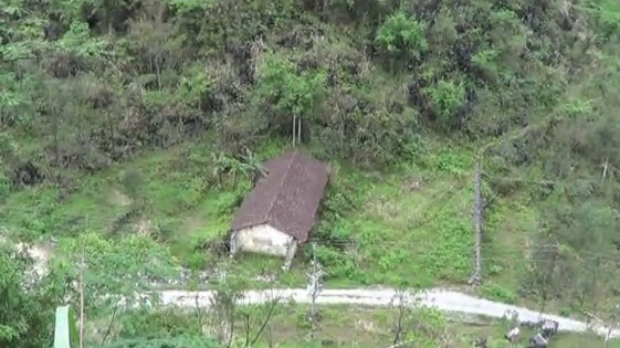 田禹治