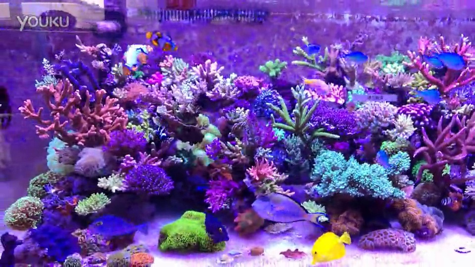 我家的小棉袄
