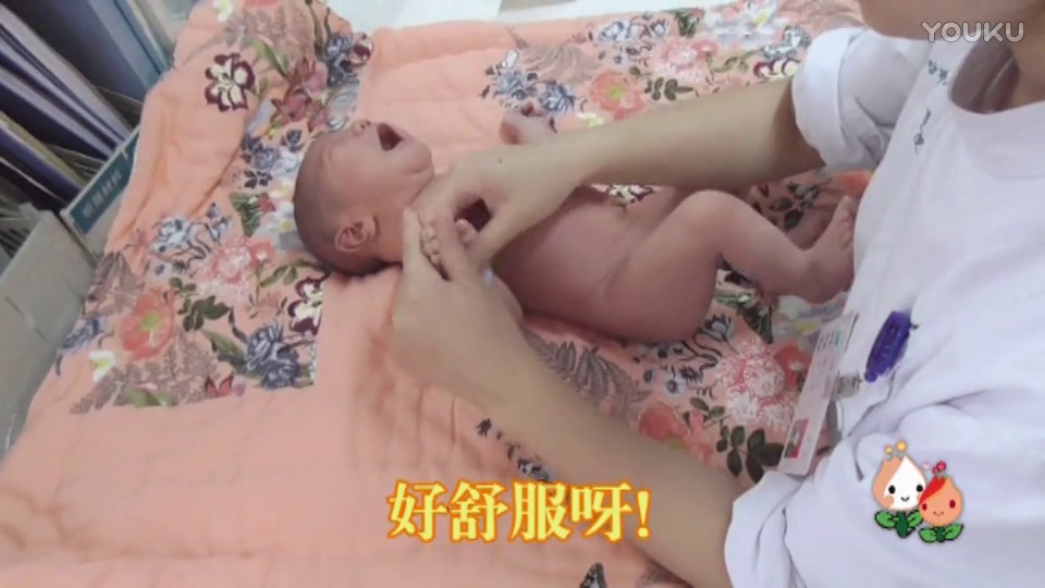 2015年羊年运程