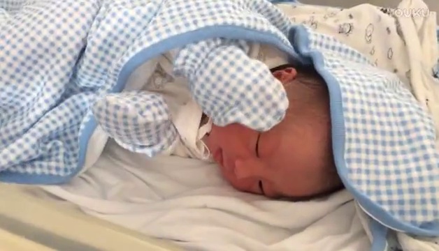 救援高手第二季