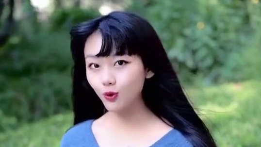 长城 字幕