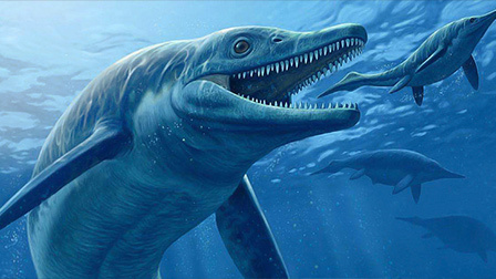 5集全秘境星球·深海巨怪加勒比海底惊现神秘巨怪文化高分必看4集全