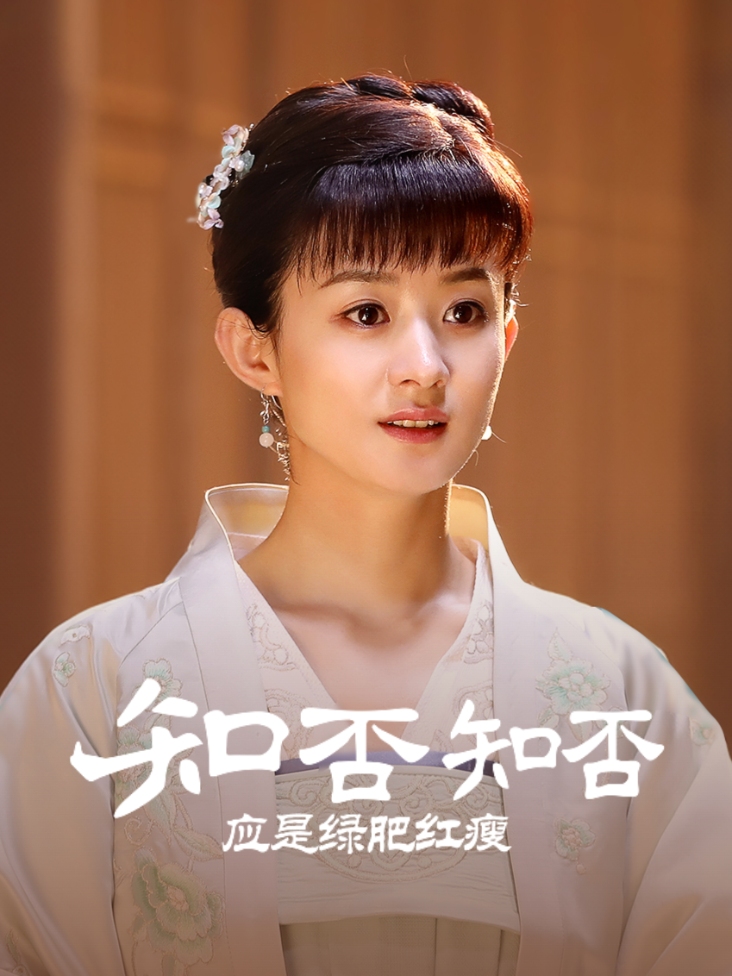 知否知否应是绿肥红瘦 TV版