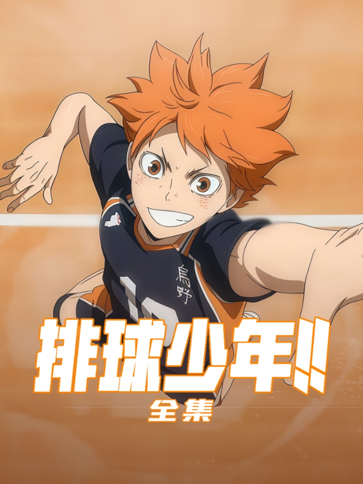 排球少年全集