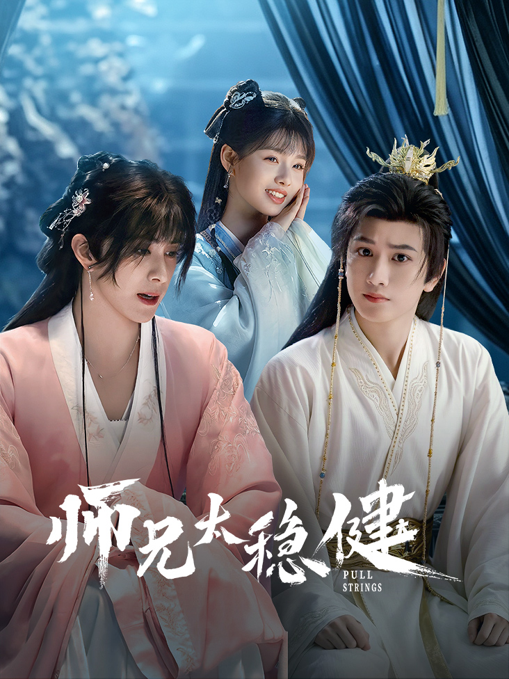师兄太稳健 海报